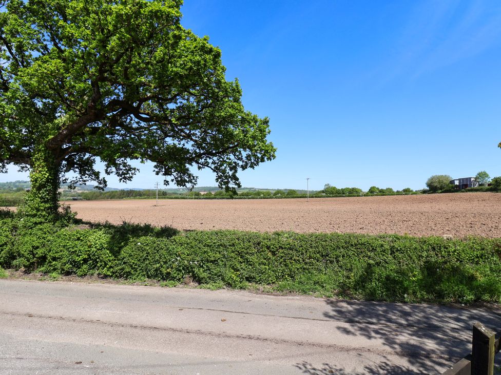 A view of a field with a tree and roadside at Rosemarie Annexe in Axminster