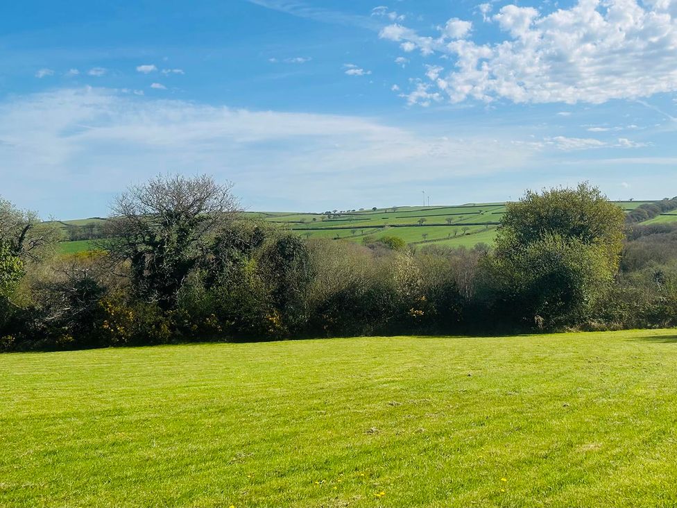 A field with grass and trees at Buzzards Lodge near Victoria