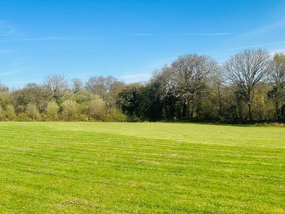 A field with grass and trees at Buzzards Lodge near Victoria