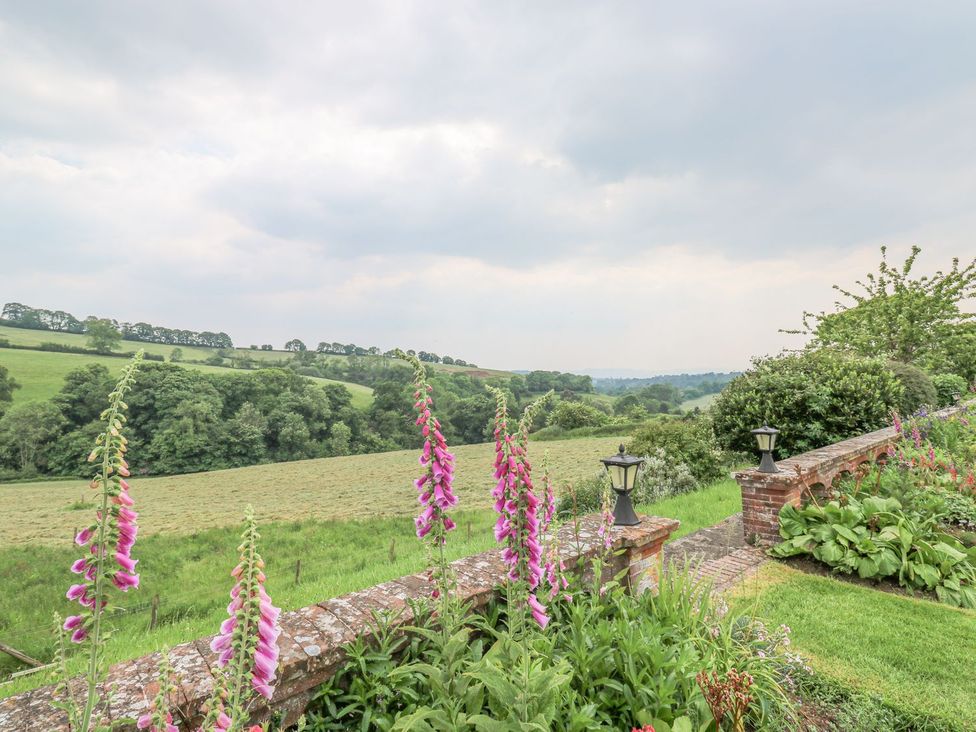 The Babbling Brook Nook - Devon - 1173353 - thumbnail photo 42