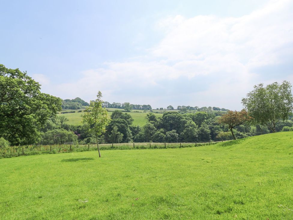 The Babbling Brook Nook - Devon - 1173353 - thumbnail photo 53