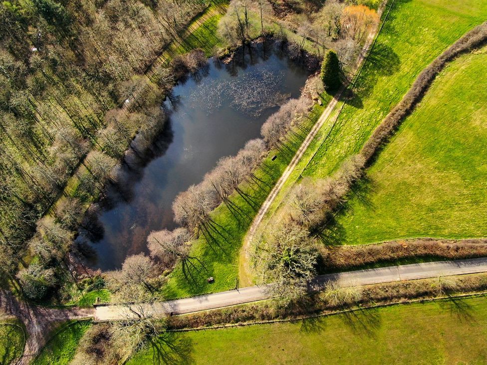 The Babbling Brook Nook - Devon - 1173353 - thumbnail photo 64