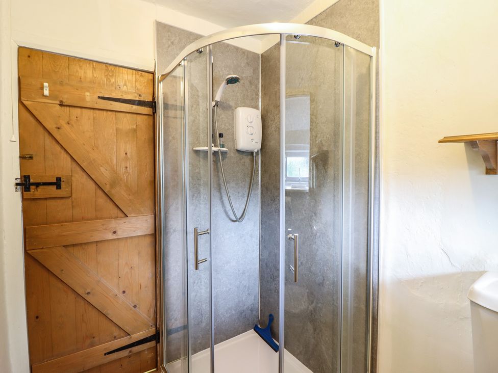 A bathroom with a shower and wooden door at Hafod Llangollen