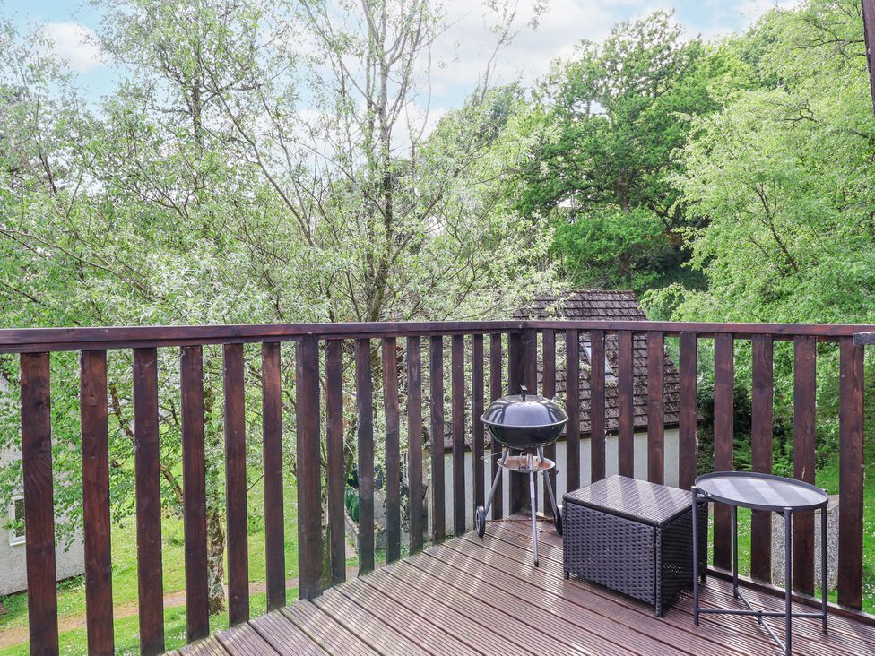23 Valley Lodge - Cornwall - 1173437 - thumbnail photo 28