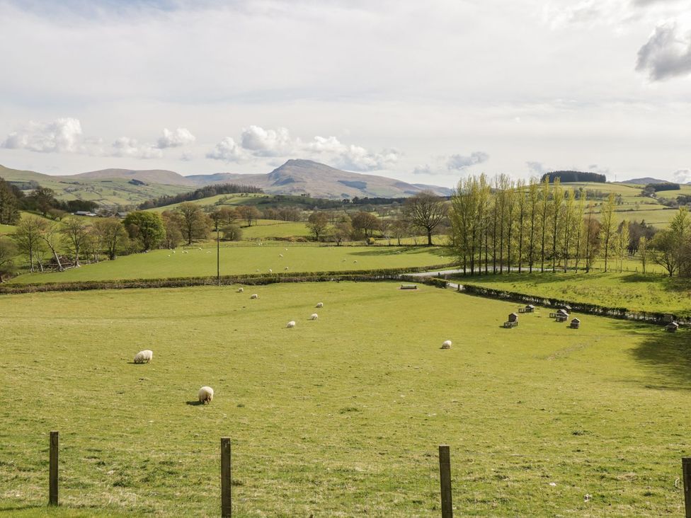 A landscape with sheep grazing in a field at Cyffdy Cottage - Aran Bala