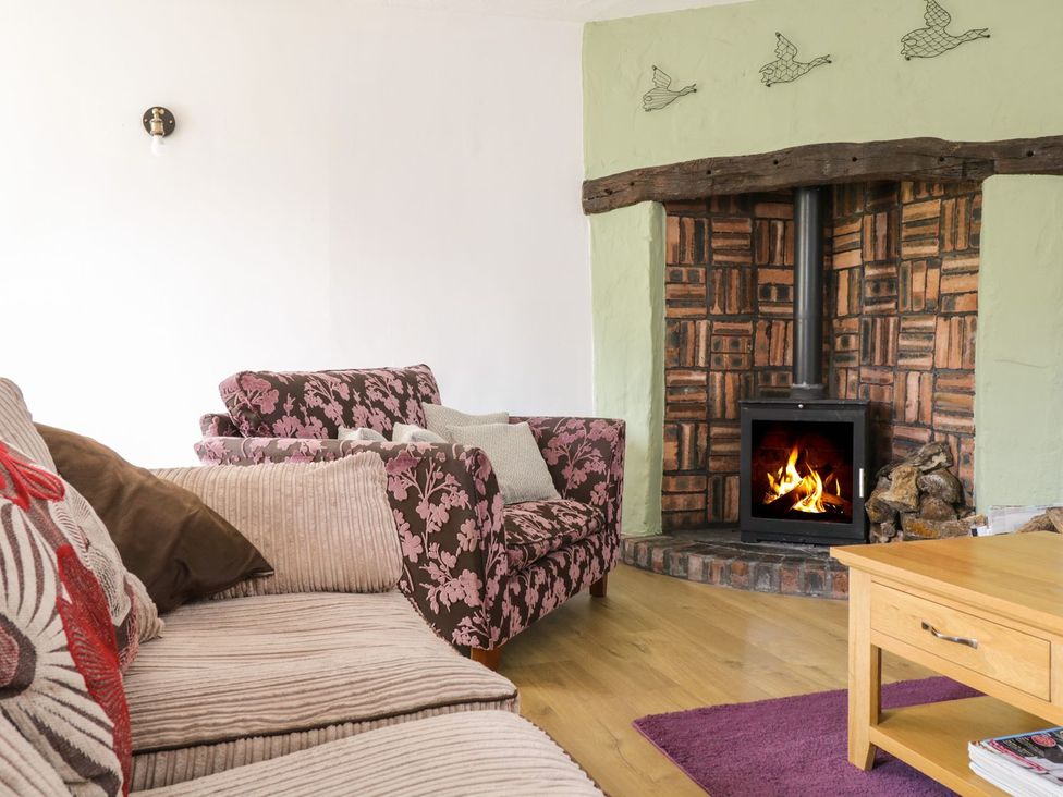A living room with a sofa and fireplace at Cyffdy Cottage - Tegid in Bala