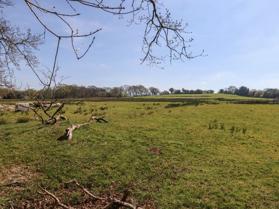 Bower Cottage - Dorset - 1173577 - thumbnail photo 55