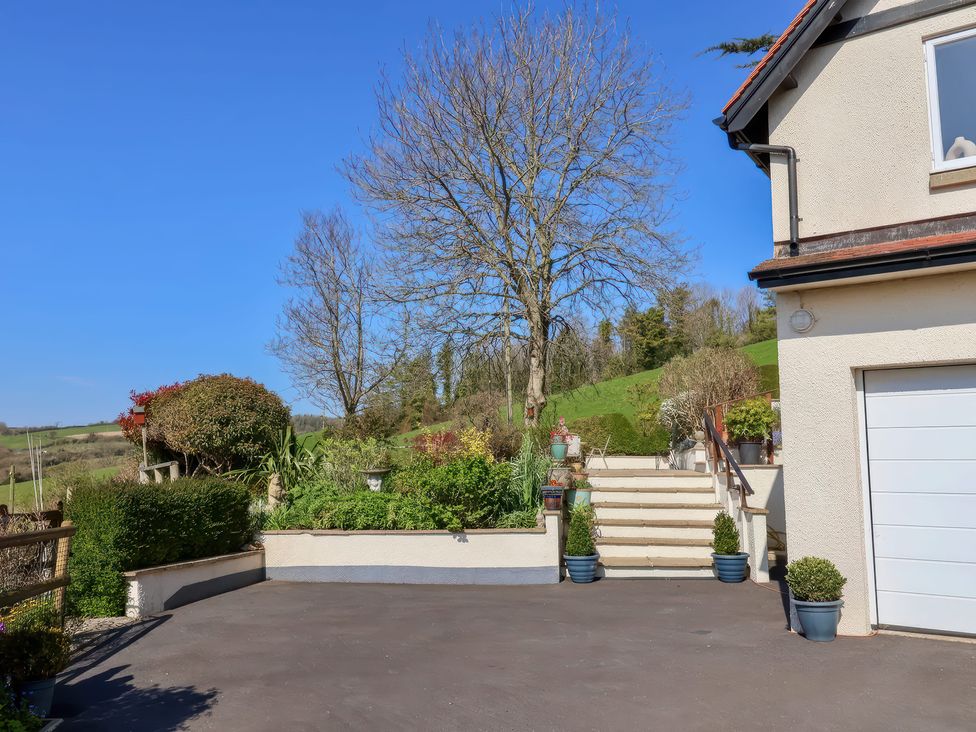 An outdoor area with steps leading to a garden with plants and trees next to a house with a garage