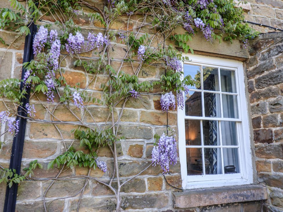 A stone wall with a white window framed by purple flowering vines at Whinstone Cottage in Esk Valley near Grosmont