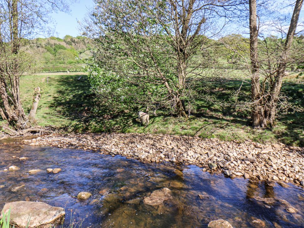 A flowing stream with rocks along the bank and trees on grassy land at Whinstone Cottage Esk Valley near Grosmont