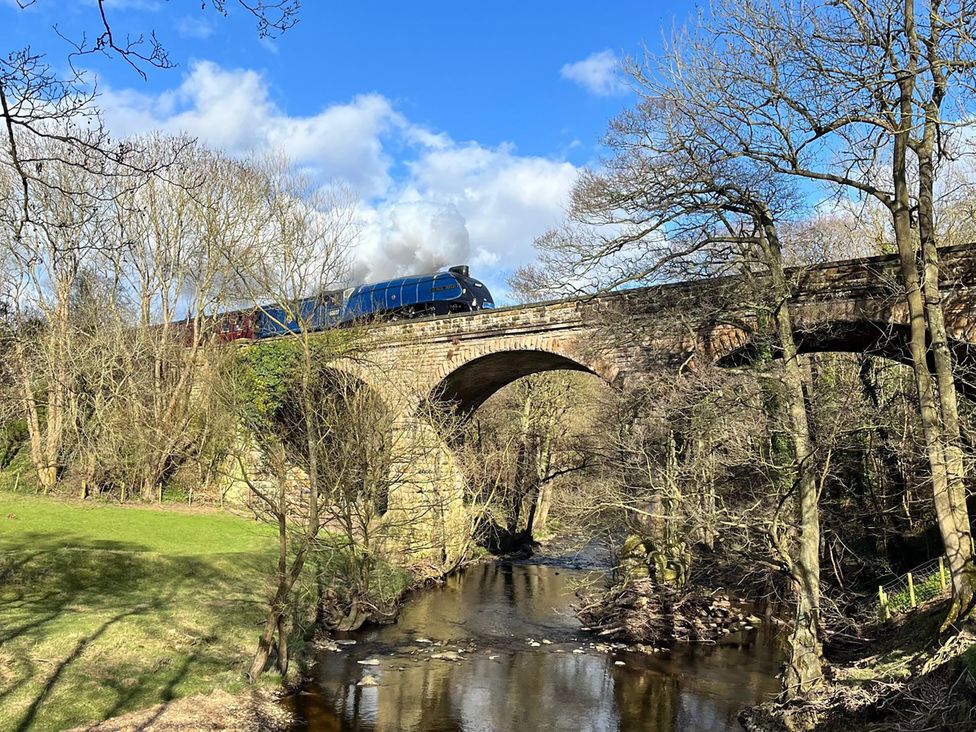 A train crossing a bridge over a river in a forested area near Esk Valley near Grosmont