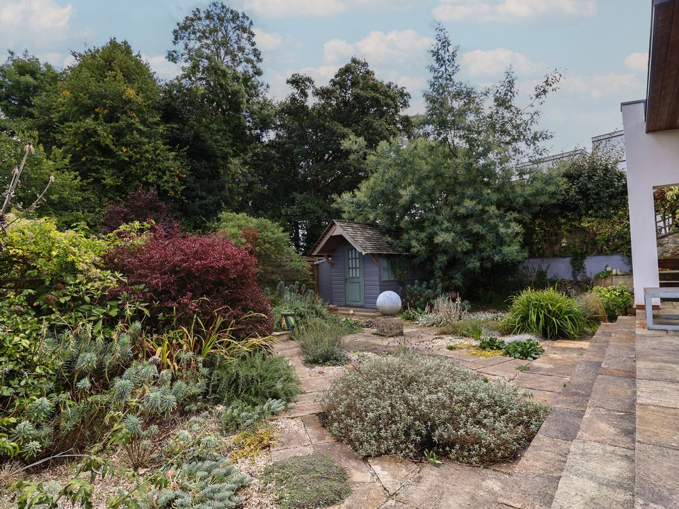 A garden with a shed and various plants at The Well House in Lyme Regis