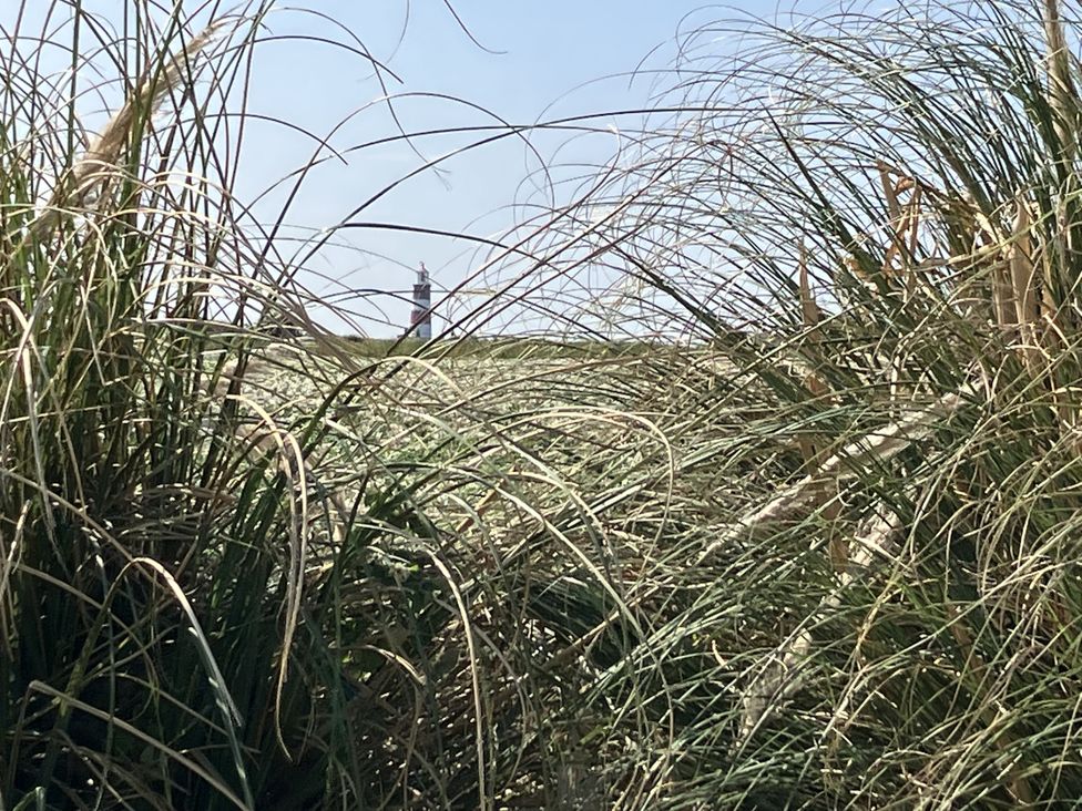 A view of a lighthouse through tall grass at Seadrift near Stalham