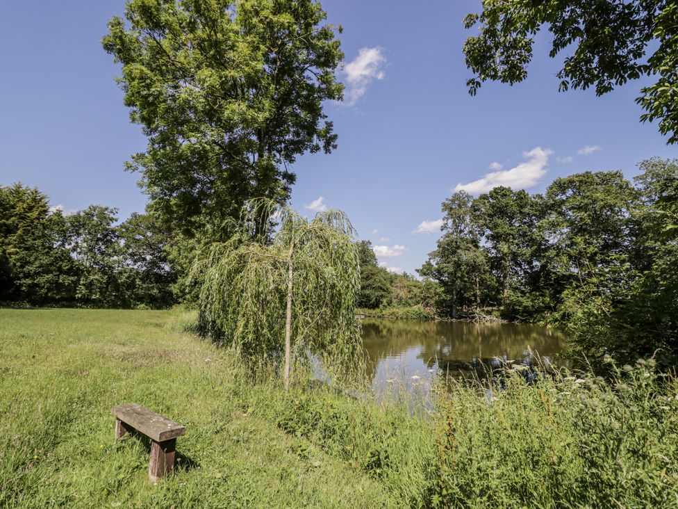 A pond surrounded by trees and grass with a bench at The Lodge