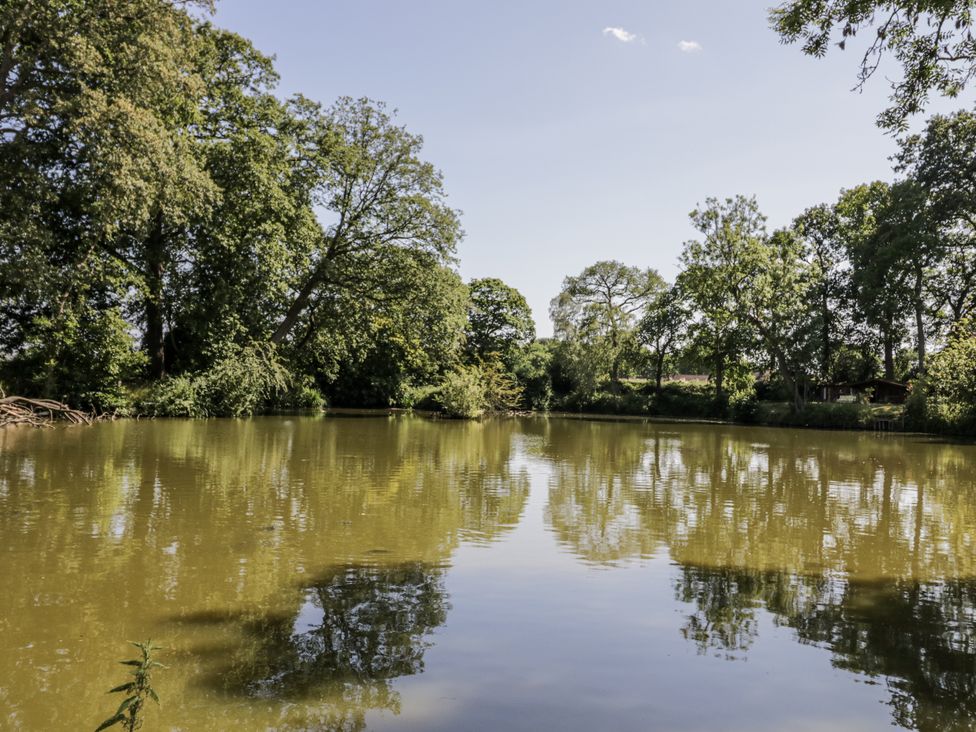 A pond surrounded by trees with reflections at The Lodge in 