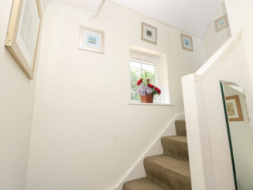 A staircase with a window and potted plant at Poppy Cottage in Ventnor