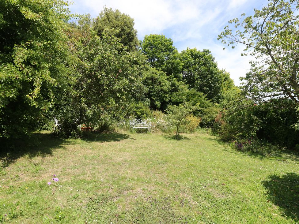 A garden with grass and trees at Poppy Cottage in Ventnor