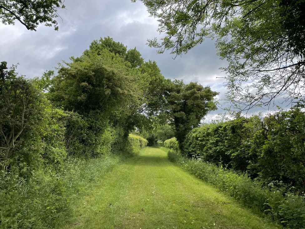 A path surrounded by trees and bushes at Beechwood in Wood Norton near Foulsham