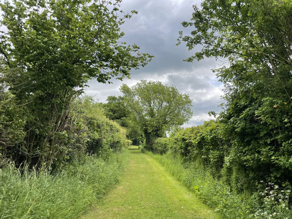 Beechwood - Norfolk - 1173827 - thumbnail photo 23