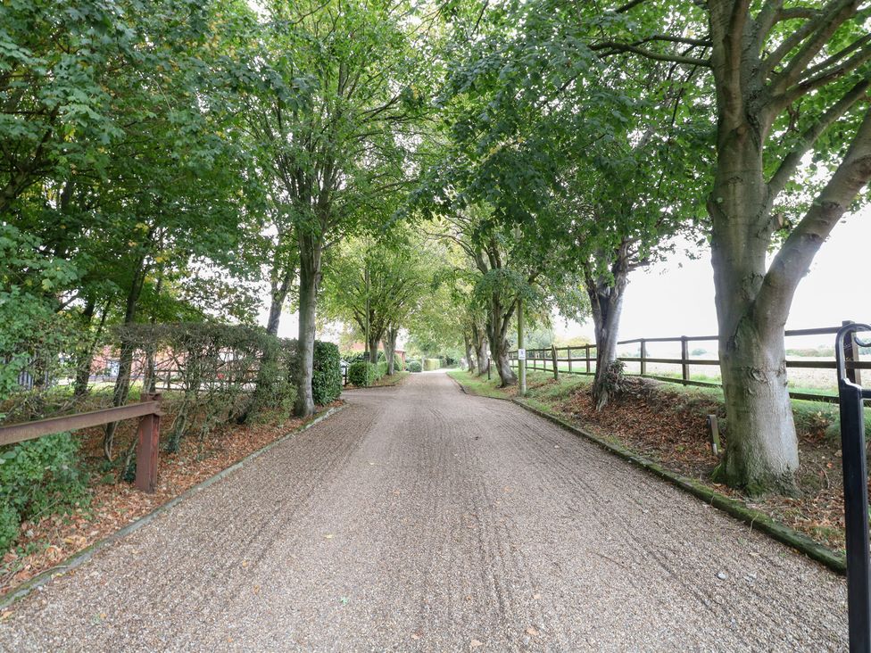 A gravel driveway lined with trees at Holly Berry in Wood Norton near Foulsham