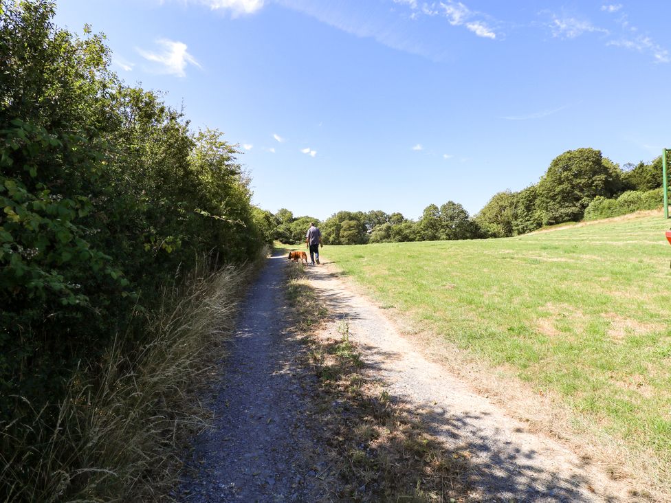 A person walking a dog on a path in a field at Dolcoed Manordeilo near Llangadog
