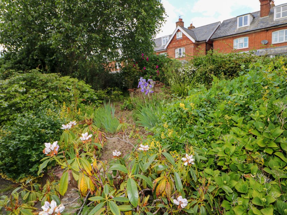 Little Birches - Kent & Sussex - 1173867 - thumbnail photo 37
