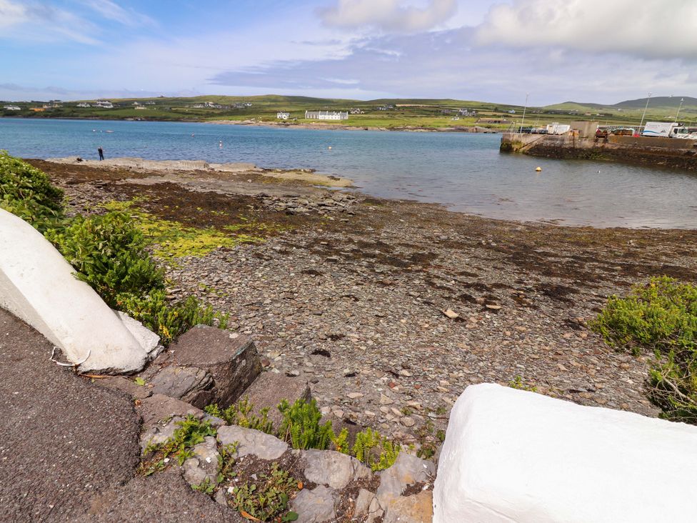 A shoreline with rocks and seaweed at O'Connell's Lodge, Portmagee, County Kerry