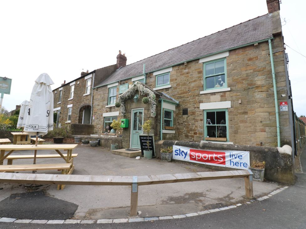 Cosy Cottage 3 - Northumberland - 1173947 - thumbnail photo 24