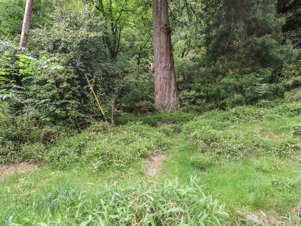 A natural area with trees and grass at Tryfan Cottage in Nant Gwynant