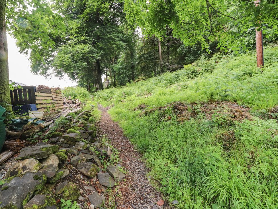 A path surrounded by trees and vegetation at Tryfan Cottage in Nant Gwynant