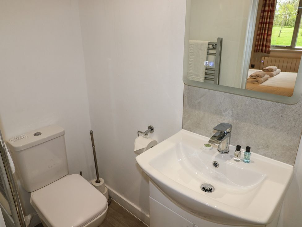 Alder - South Wales - 1173978 - thumbnail photo 7