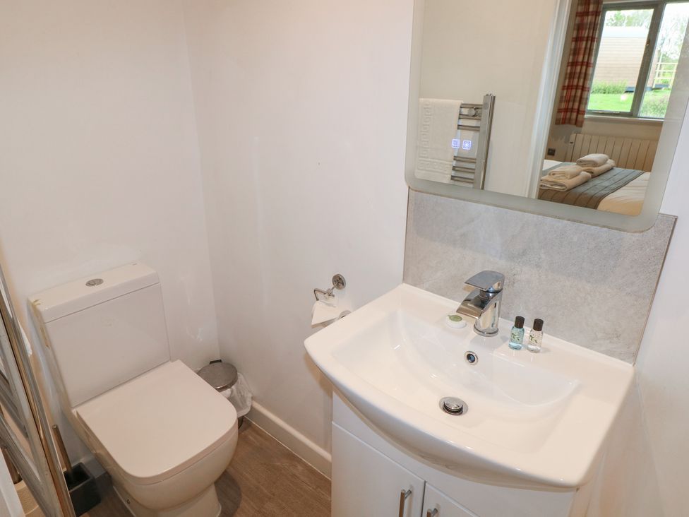 Chestnut - South Wales - 1173980 - thumbnail photo 8