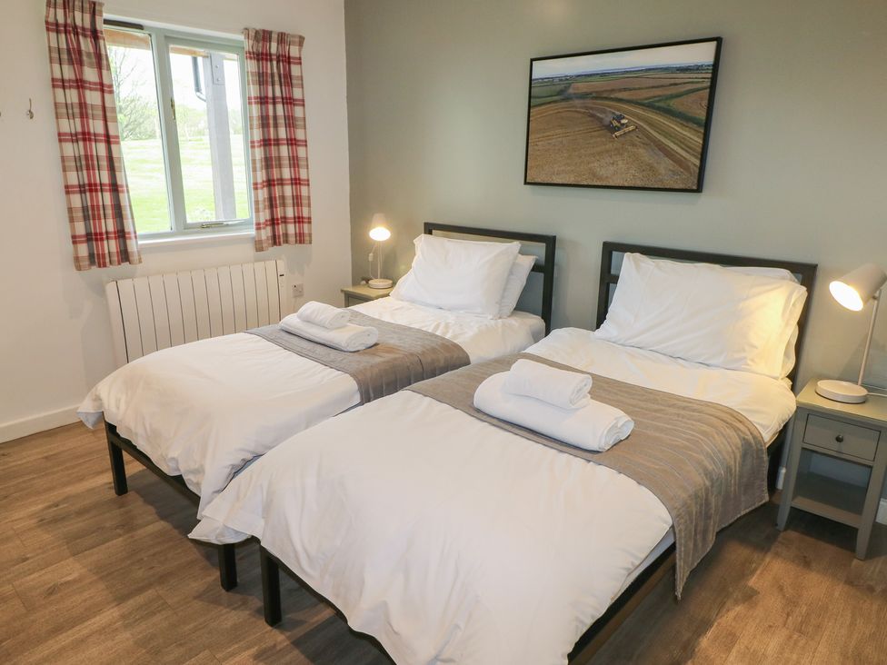 Oak - South Wales - 1173981 - thumbnail photo 3