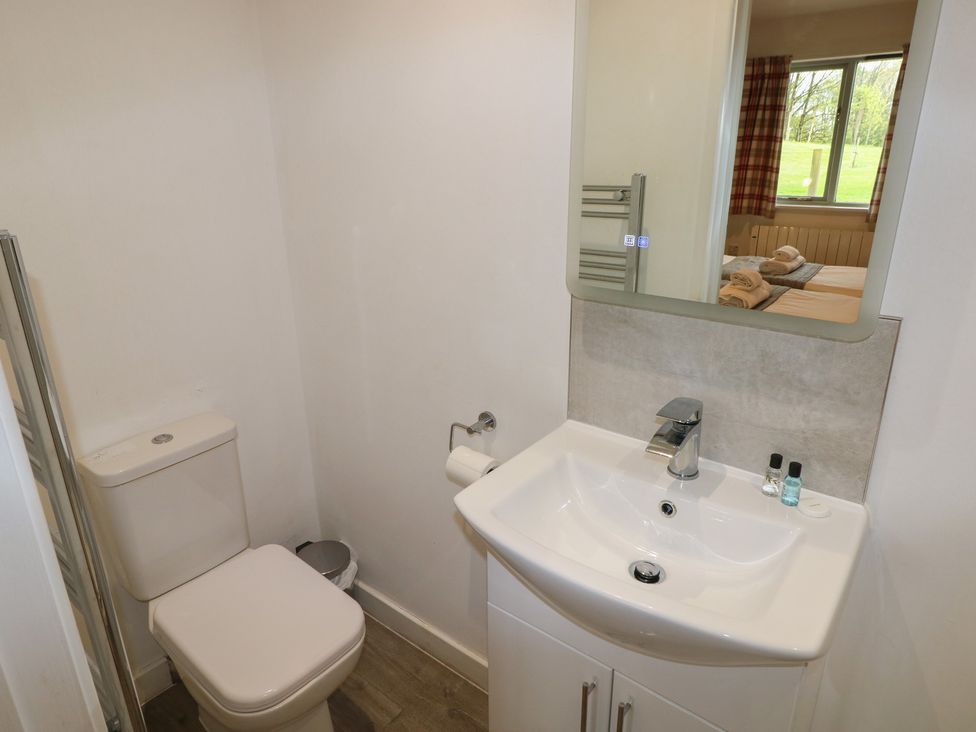 Oak - South Wales - 1173981 - thumbnail photo 7