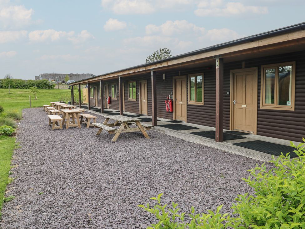 Oak - South Wales - 1173981 - thumbnail photo 9
