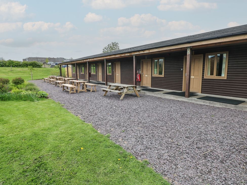 Oak - South Wales - 1173981 - thumbnail photo 10