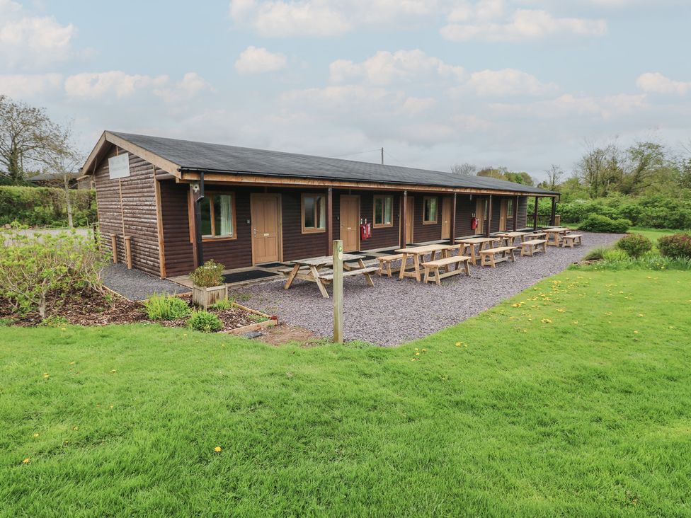 Oak - South Wales - 1173981 - thumbnail photo 11