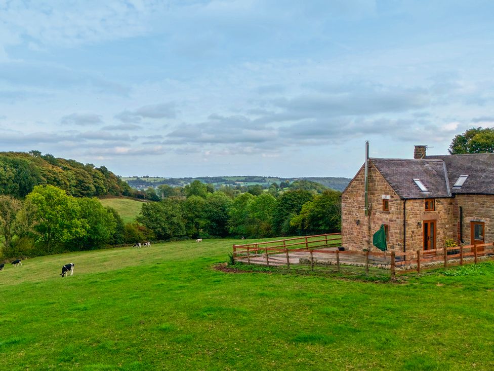 A house with cows grazing in a field at Lane Head Cottage in Alderwasley near Wirksworth
