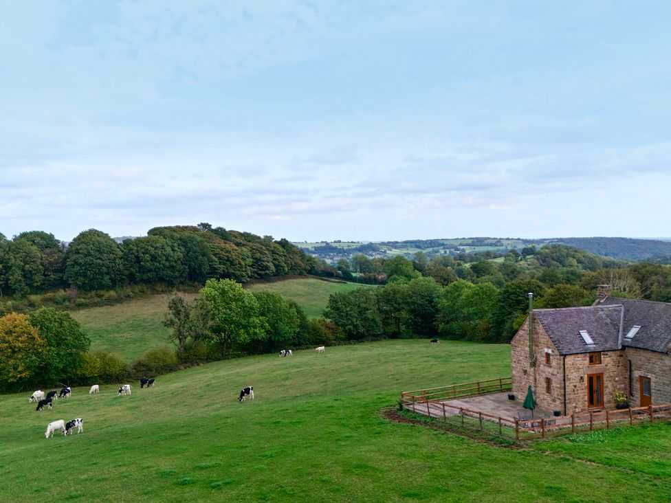 A house in a field with cows grazing at Lane Head Cottage Alderwasley near Wirksworth