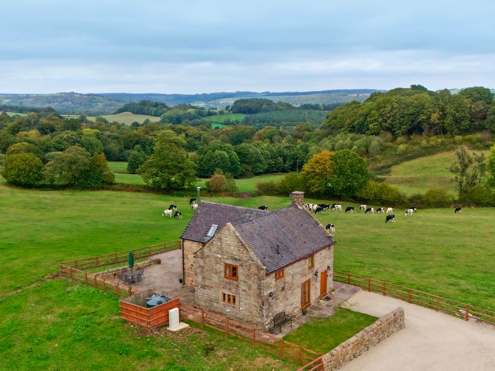A house with cows grazing in a field at Lane Head Cottage in Alderwasley near Wirksworth