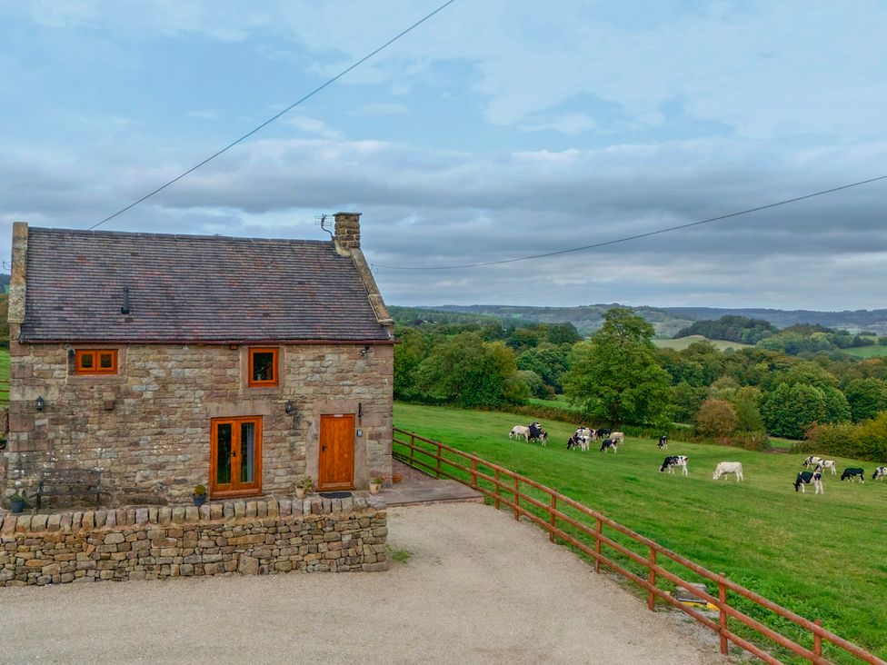 A stone house with cows in a field at Lane Head Cottage near Alderwasley
