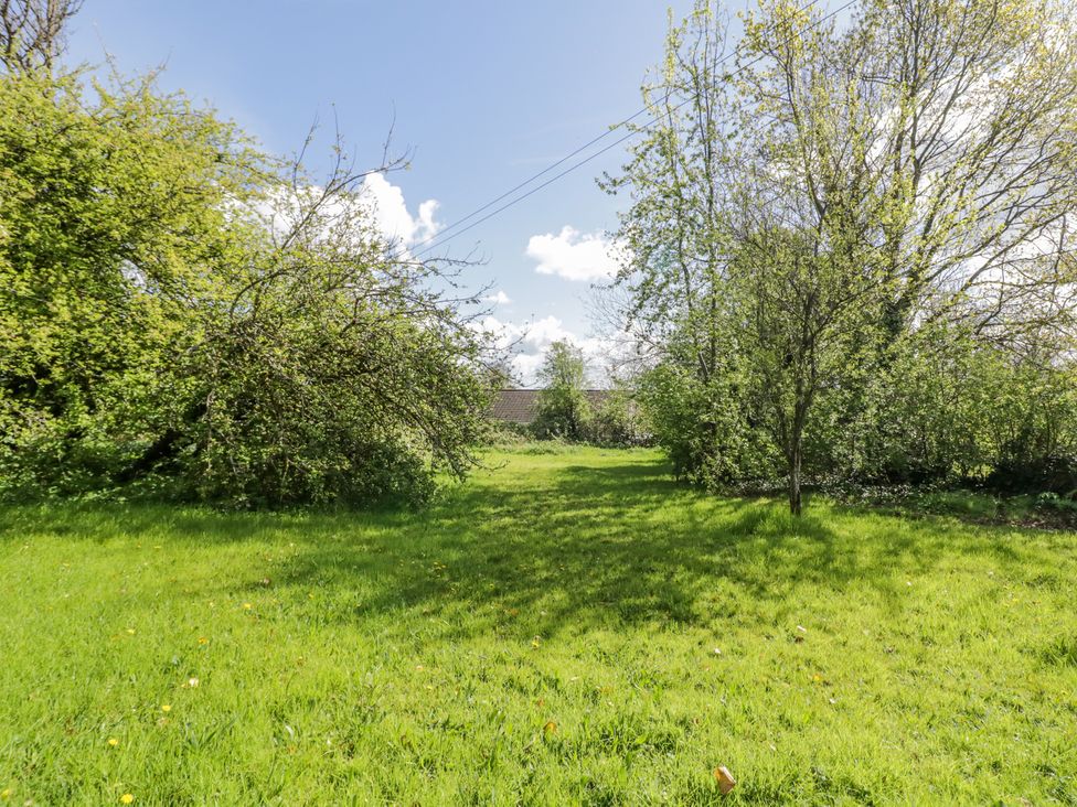 Corradillar Quay Cottage -  - 1174002 - thumbnail photo 30