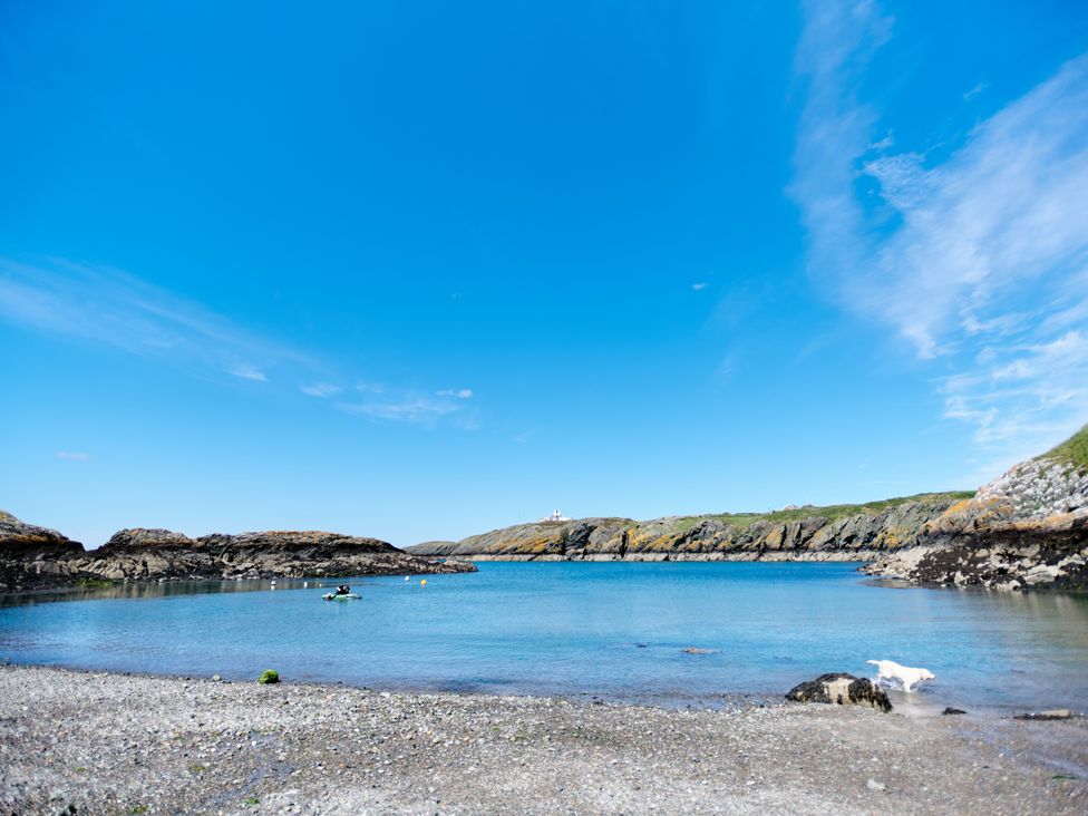 A pebble beach with a dog near the water and rocky cliffs in the background at Annexe at Ty Moel Isaf in Pengorffwysfa near Amlwch