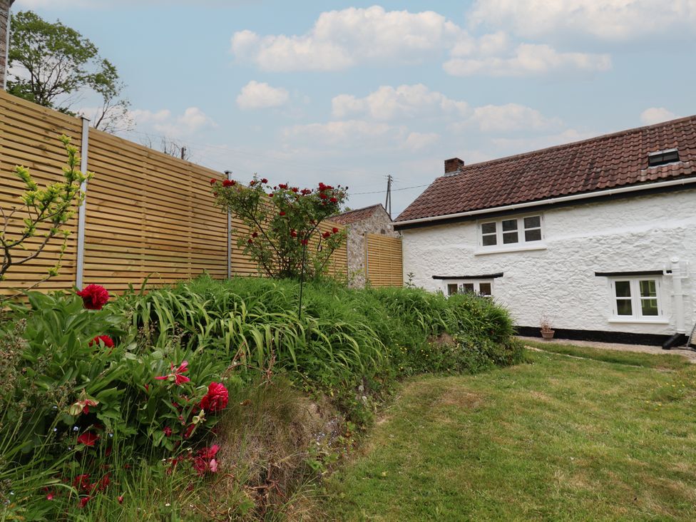 Picket Mead - Devon - 1174029 - thumbnail photo 16