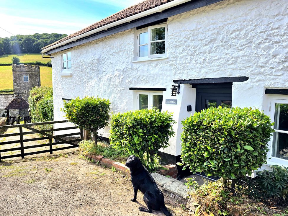 A house with a dog sitting in the front yard at Picket Mead Southleigh near Colyton