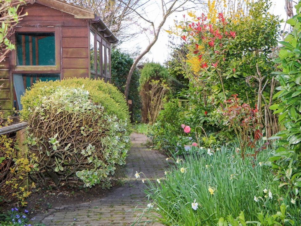 A garden with a path between bushes and flowers at 70 High Street Canterbury
