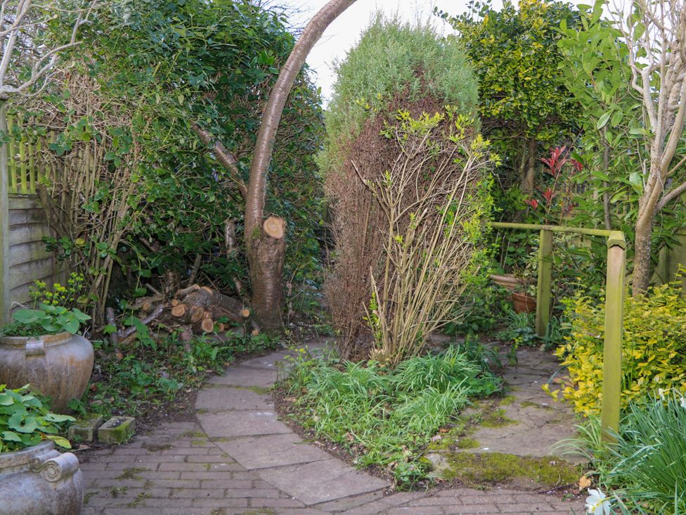 A garden with a pathway and shrubs at 70 High Street, Canterbury
