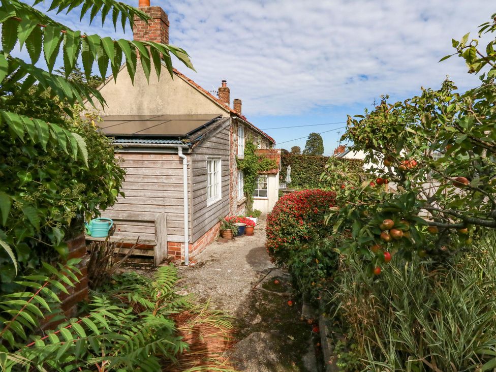 A garden pathway alongside a house at Little Orchard in Chard