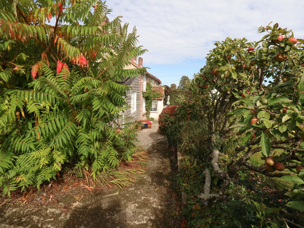A garden pathway leading to a house at Little Orchard in Chard