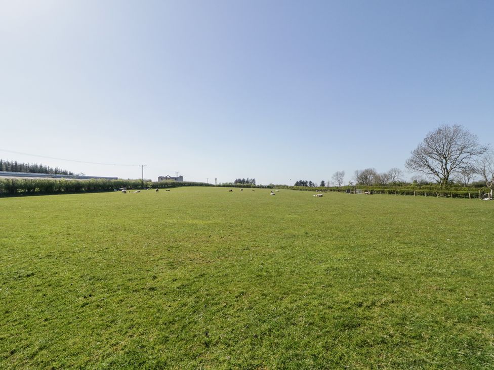 Mountain View -  - 1174105 - thumbnail photo 26
